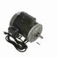 C661 General Purpose Motor