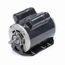 CG239 General Purpose Motor