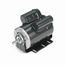 D115 General Purpose Motor