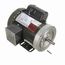 D313 General Purpose Motor