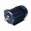E2124-P General Purpose Motor