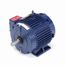 E470 Severe Duty Motor