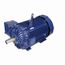 E771 Severe Duty Motor