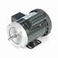F131 High Torque Motor