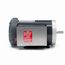 F135 High Torque Motor