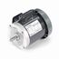 G1515 General Purpose Motor