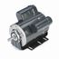 G156 General Purpose Motor