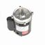 G216A General Purpose Motor