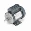 G339 General Purpose Motor