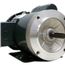 G573 General Purpose Motor