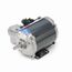 G646 Explosion Proof Motor