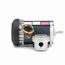 G650 Explosion Proof Motor