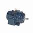 GT0084 General Purpose Motor