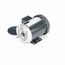 J062 Jet Pump Motor