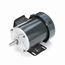 K158 General Purpose Motor