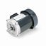 K254 General Purpose Motor
