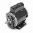 P254 Instant Reverse Motor