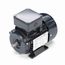 R301 IEC Motor
