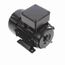 R303 IEC Motor
