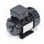 R307 IEC Motor