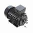 R317 IEC Motor