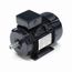 R321A IEC Motor