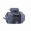 R330B IEC Motor