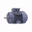 R333B IEC Motor