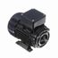 R361 IEC Motor