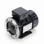 R387 IEC Motor