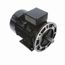 R394A IEC Motor