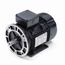 R399A IEC Motor