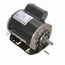 S116 General Purpose Motor