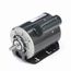 S117 General Purpose Motor