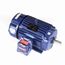 U042A Explosion Proof Motor