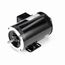Y281 Vector Duty Motor