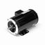 Y282 Vector Duty Motor