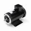 Y370 Vector Duty Motor