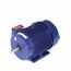 Y382 Cooling Tower Motor