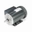Z118 High Torque Motor