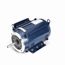 Z409 Close Coupled Pump Motor