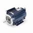 Z411 Close Coupled Pump Motor
