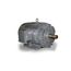 NP0022 General Purpose Motor