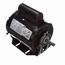 PD1050AV1 Poultry Duty Motor