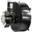 Dayton 1tdv4 Direct Replacement Electric Motor, PTDV4