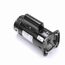Q1202 Jet Pump Motor