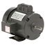 T13C1J4 General Purpose Motor