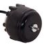 250 Unit Bearing Motor