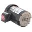 U32P2DFCR General Purpose Motor