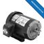U34S1AC General Purpose Motor